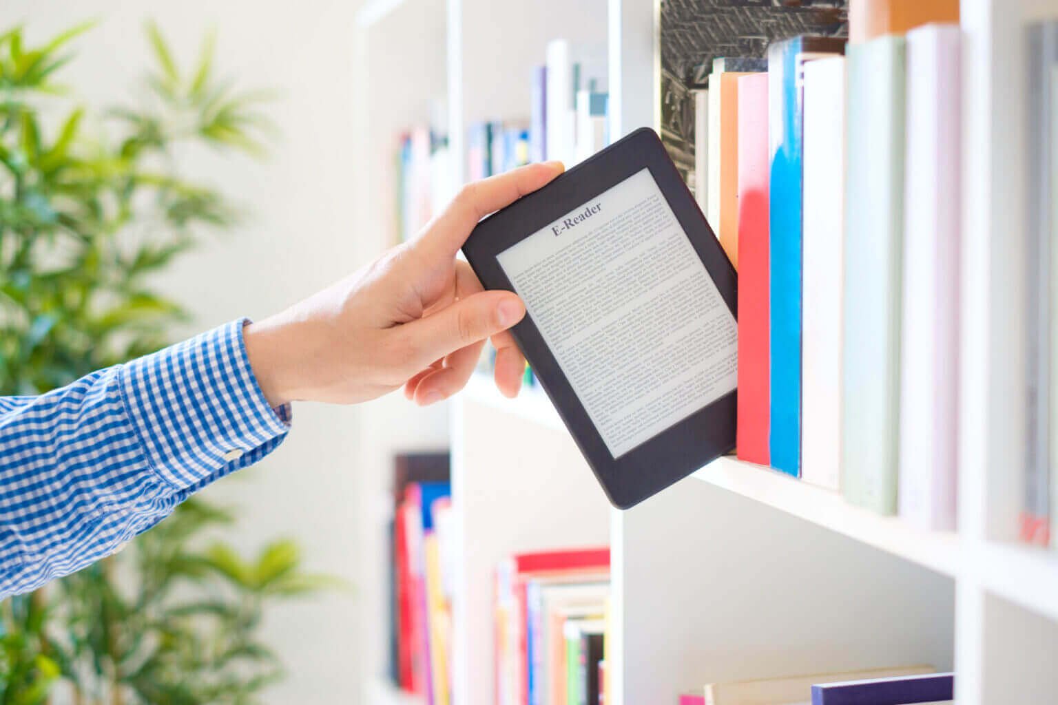 Book Editing Services